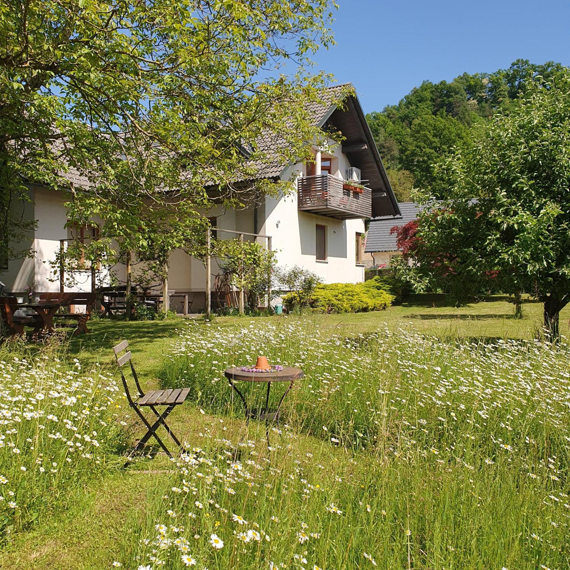 River House Radolca Radovljica Bagian luar foto